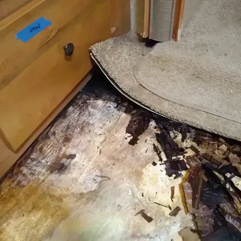 Best Wood Floor Water Damage Service in Cambridge, NY